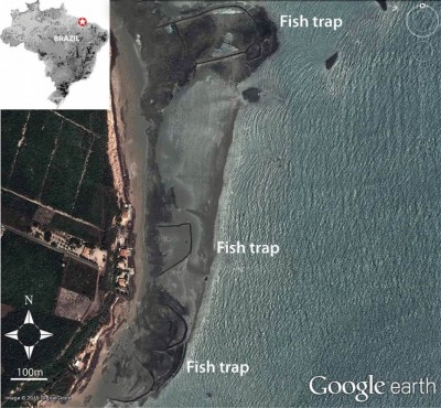 Figure 1. Archaeological fish traps in northern Brazil (Maranhão); the local communities today attribute them to past indigenous populations; their chronological and cultural attribution is, however, unknown ©Google Earth.